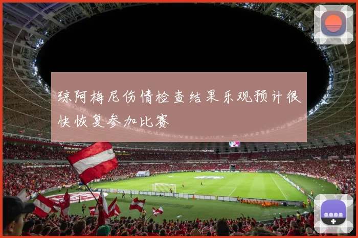 琼阿梅尼伤情检查结果乐观预计很快恢复参加比赛