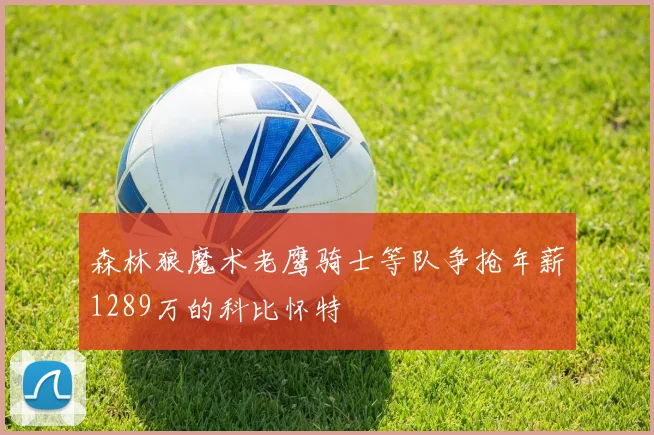 森林狼魔术老鹰骑士等队争抢年薪1289万的科比怀特