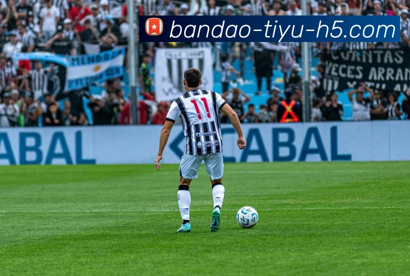 半岛体育平台生态图